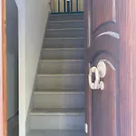 La Casa Rosa